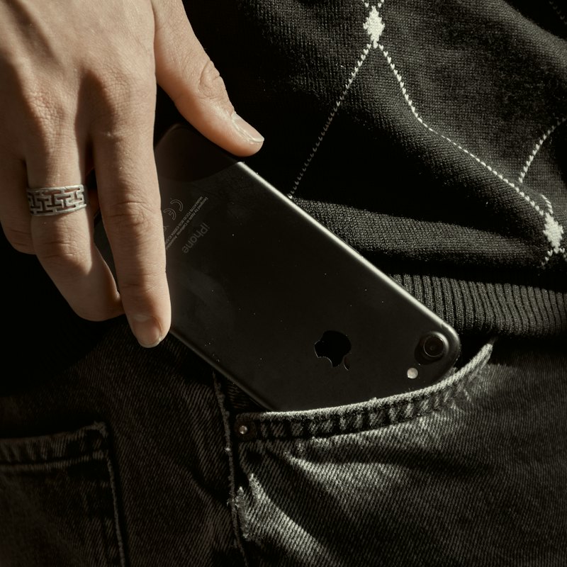Chain-Link Case