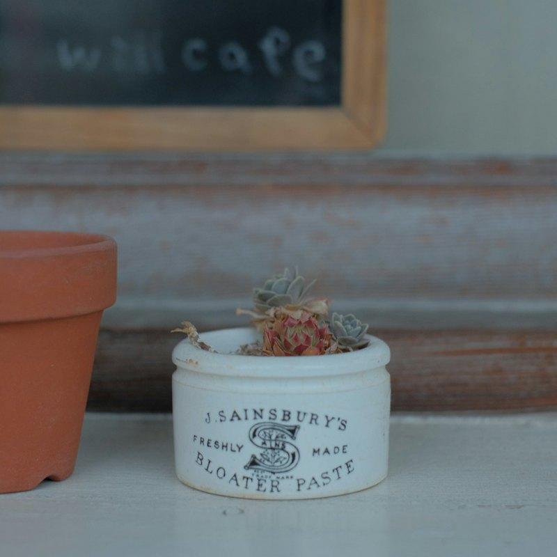 Date Paste
