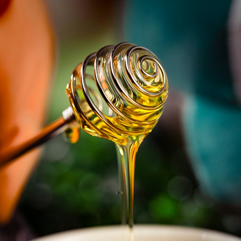লিচু ফুলের মধু