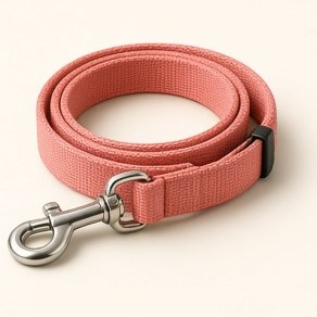 Padded Nylon Leash, Coral